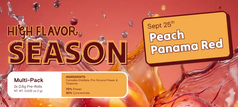 High Flavor Season: Peach Panama Red Infused Pre-Rolls Available 9/25